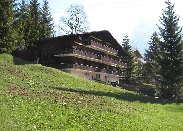 Superior Apartment 100M2 Bodmisonne - Grindelwald