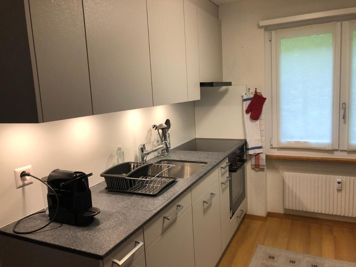 Superior 100m2 Bodmisonne - * Grindelwald