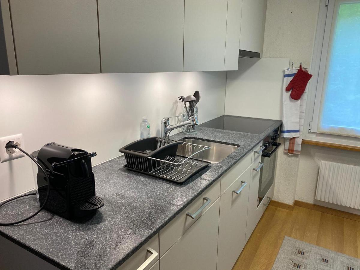 Superior 100m2 Bodmisonne - Apartment
